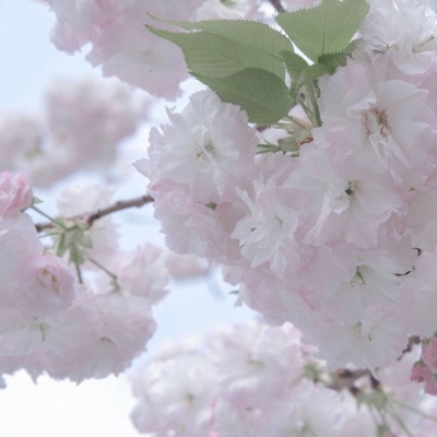 Furry绘画改稿思路福瑞群