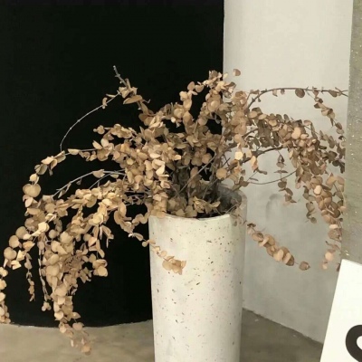 兽设花海场景绘制兽圈群